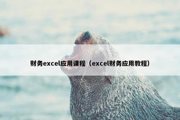 财务excel应用课程（excel财务应用教程）