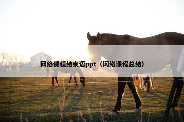 网络课程结束语ppt（网络课程总结）