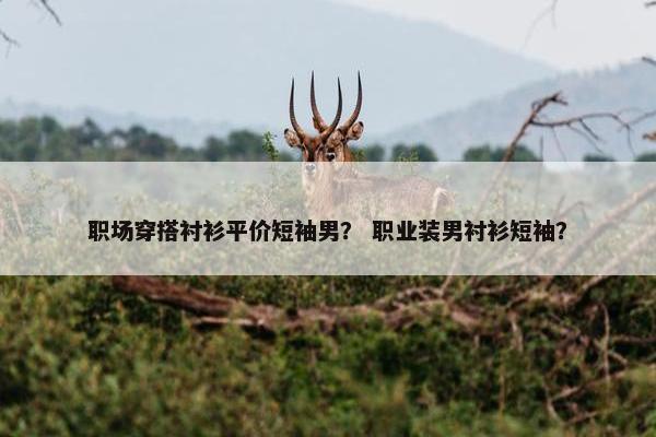 职场穿搭衬衫平价短袖男？ 职业装男衬衫短袖？