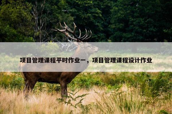项目管理课程平时作业一，项目管理课程设计作业