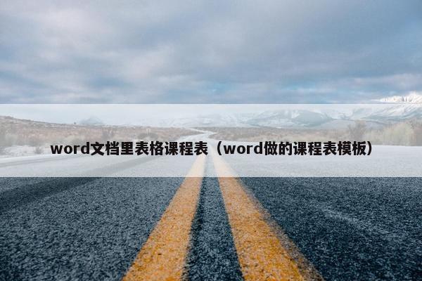 word文档里表格课程表（word做的课程表模板）
