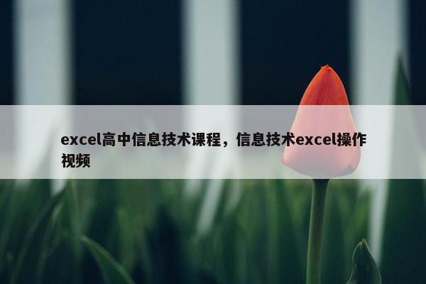 excel高中信息技术课程，信息技术excel操作视频