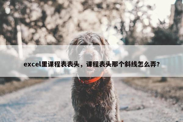 excel里课程表表头，课程表头那个斜线怎么弄?